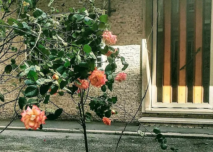 Casa Rosi Appartement *